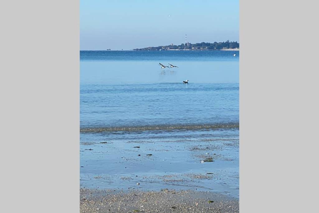 Cap Coz Sea Side Fouesnant Διαμέρισμα Εξωτερικό φωτογραφία